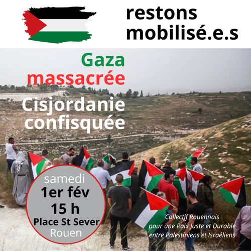 Manifestation de soutien au peuple palestinien. 