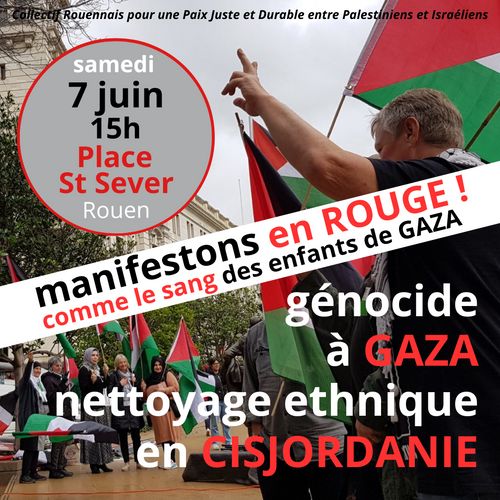 Manifestation de soutien au peuple Palestinien